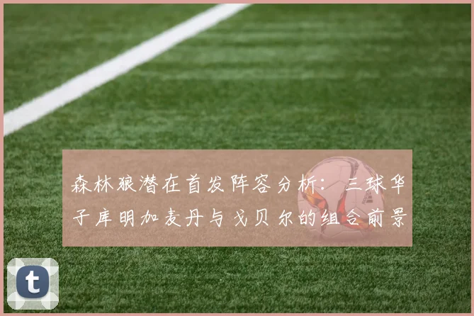 森林狼潜在首发阵容分析：三球华子库明加麦丹与戈贝尔的组合前景如何